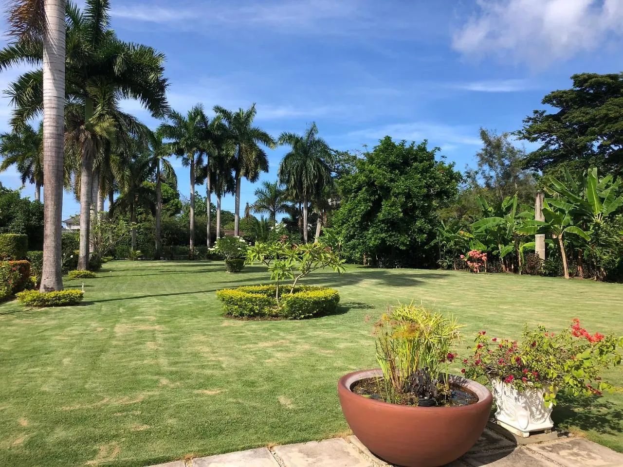 Morning Glory Villas Saint Annʼs Bay