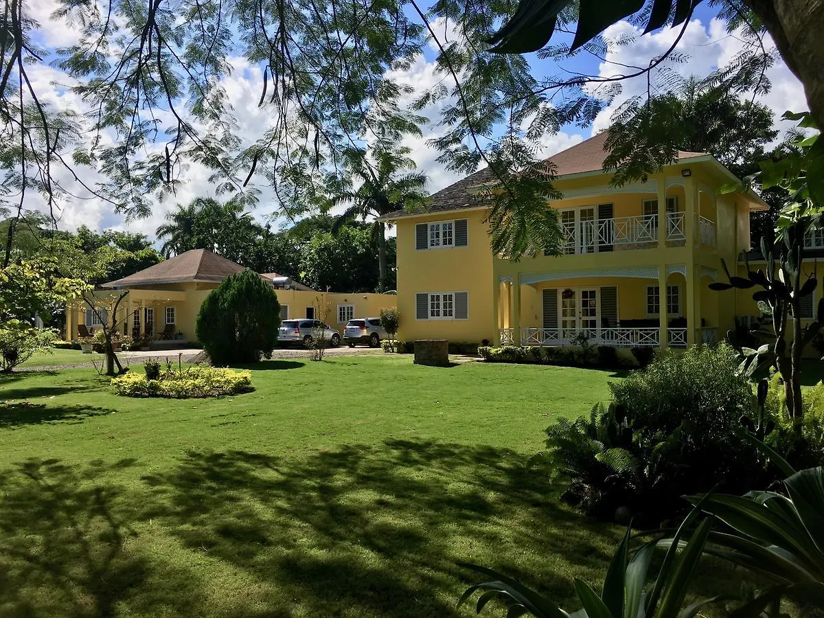 Morning Glory Villas Saint Annʼs Bay Gospodarstwo wiejskie