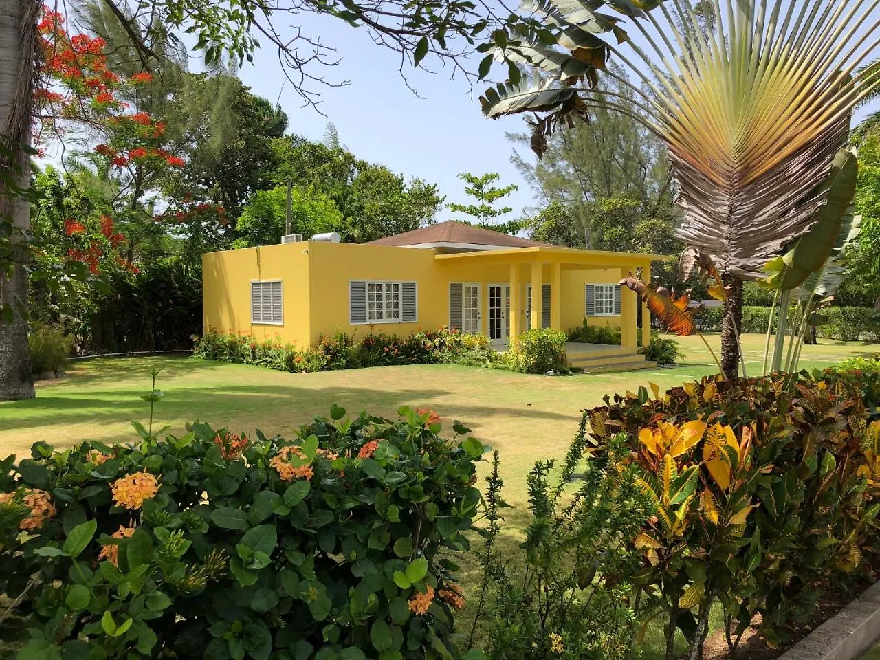 Morning Glory Villas Saint Annʼs Bay Gospodarstwo wiejskie